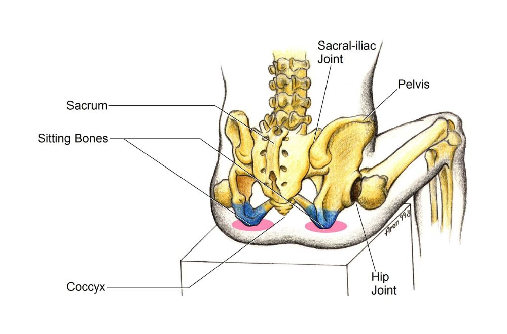 How do you choose the right bicycle saddle? Step 1